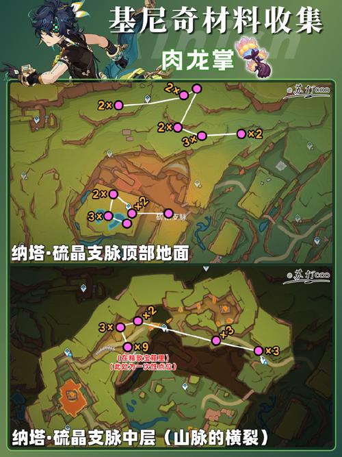 原神基尼奇天赋突破材料全解析及趣味玩法揭秘