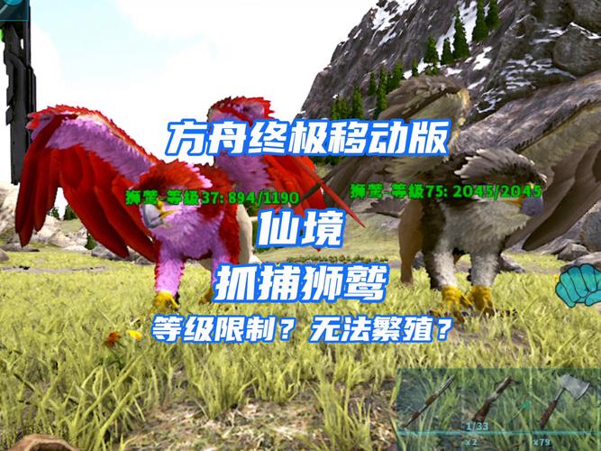 方舟手游狮鹫驯养饲料揭秘及趣味玩法探索