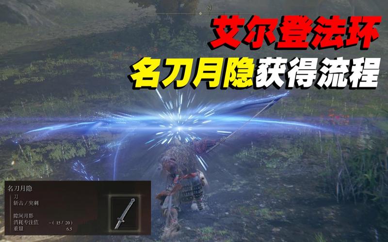 艾尔登法环月影名刀横斩竖劈技巧揭秘及趣味玩法探索