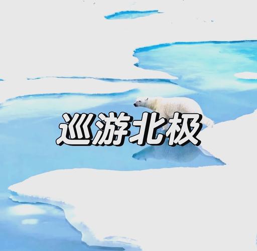 北极旋律下载,探索极地的音乐奇旅,休闲娱乐新选择