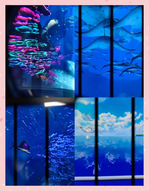 美味海洋进化，召唤珍馐神龙手游资讯——合成美食，探索深海奇遇