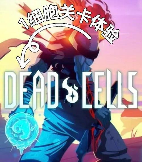 重生细胞自动回血功能受限背后的秘密探索,全新挑战与趣味玩法揭秘
