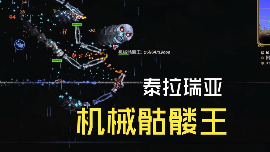 泰拉瑞亚深度探索,揭秘小骷髅头稀有宠物获取秘籍与全面养成攻略