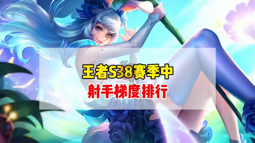 王者荣耀射手英雄攻击范围全揭秘,精准打击,射程制胜!