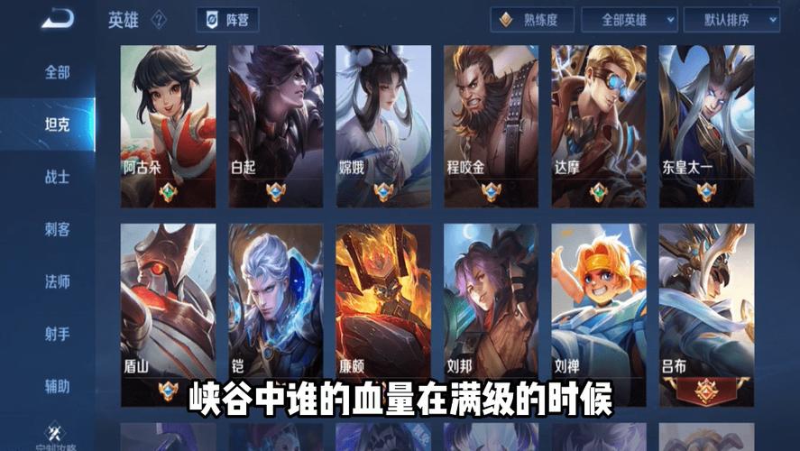 王者荣耀绝对血量深度解析及趣味玩法探索