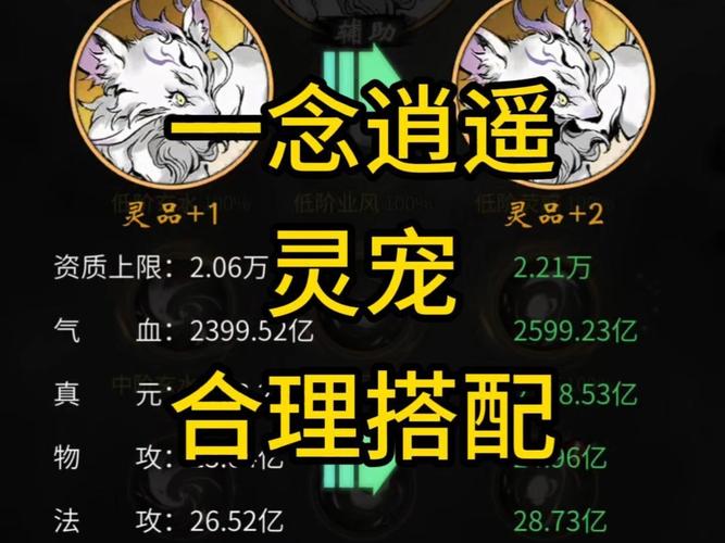 一念逍遥灵兽选择攻略,探寻最佳伙伴,共赴逍遥之旅