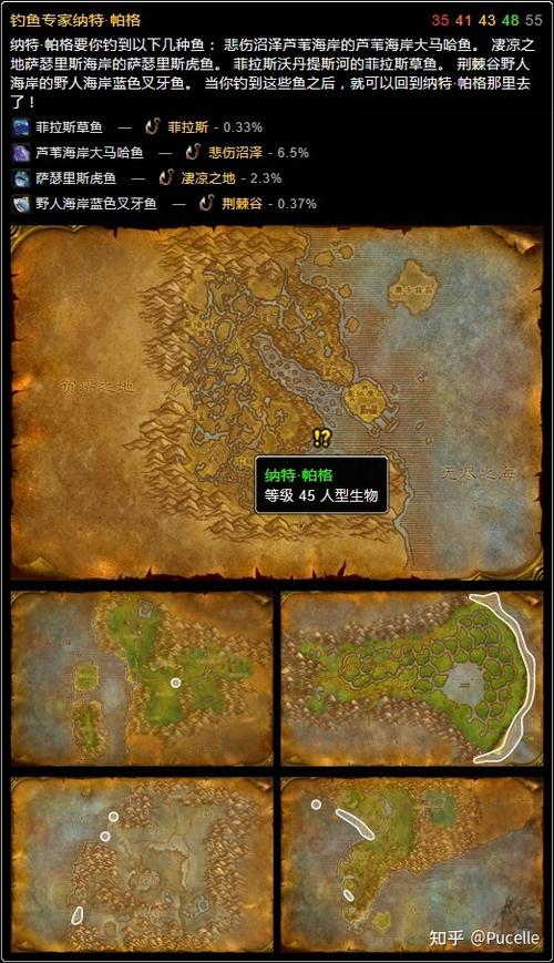 魔兽世界怀旧服高级钓鱼技巧全攻略,专业玩家的趣味学习指南