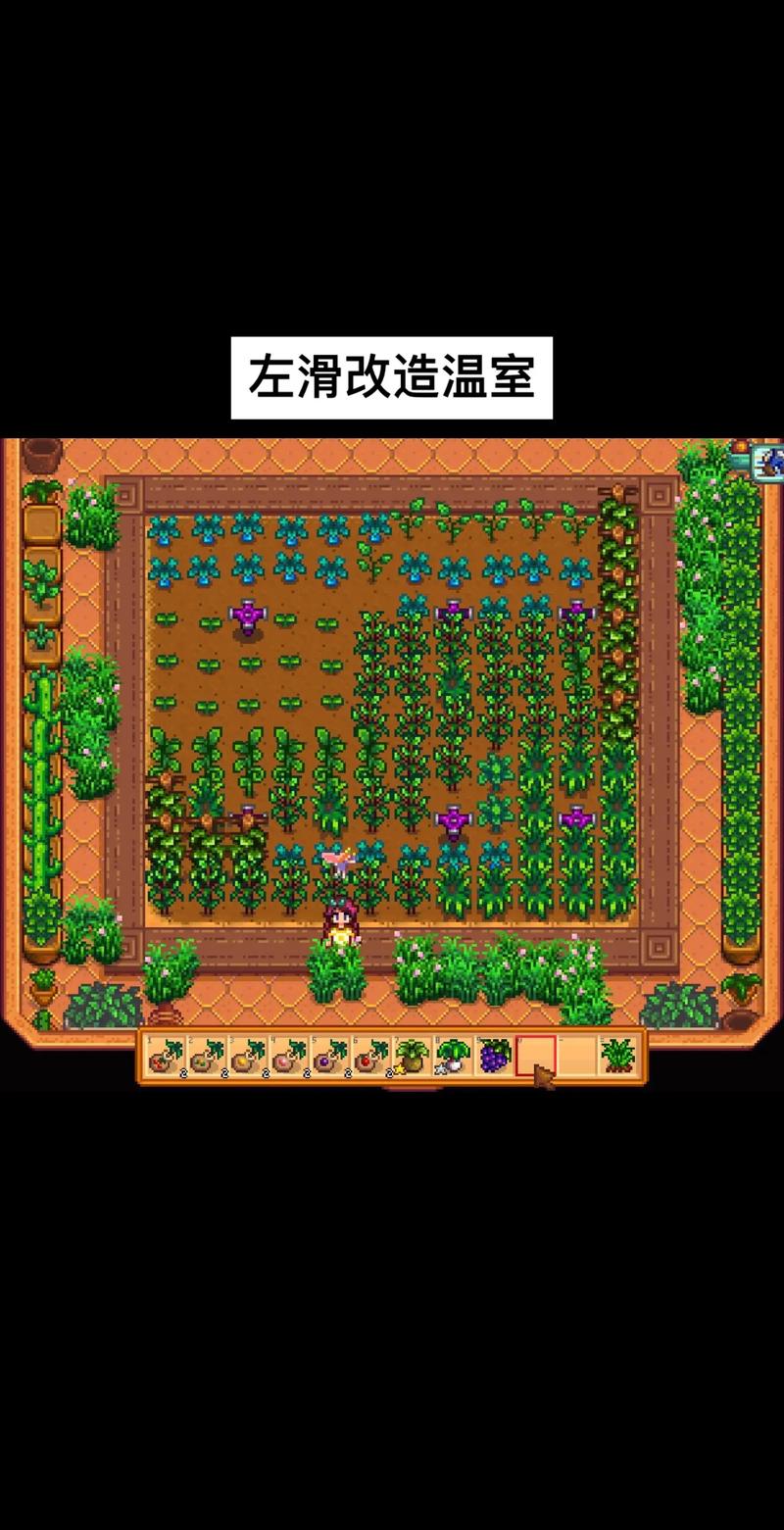 星露谷物语温室种植全攻略及趣味玩法揭秘,如何解锁与高效利用温室