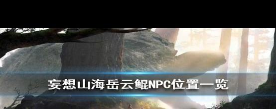 妄想山海岳云鲲NPC位置及趣味玩法全解析