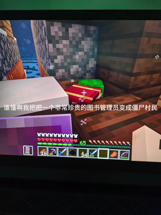 我的世界手游资讯,揭秘如何将僵尸村民变回村民,探索更多趣味玩法!