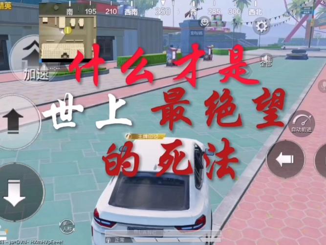 和平精英特训岛单挑小旗子玩法全解析,挑战与趣味并存的新体验