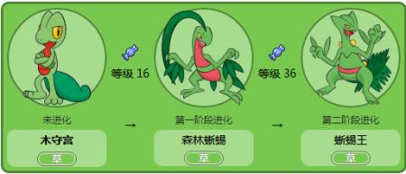 口袋妖怪黑白2太阳精灵配招全攻略,打造你的超能战士