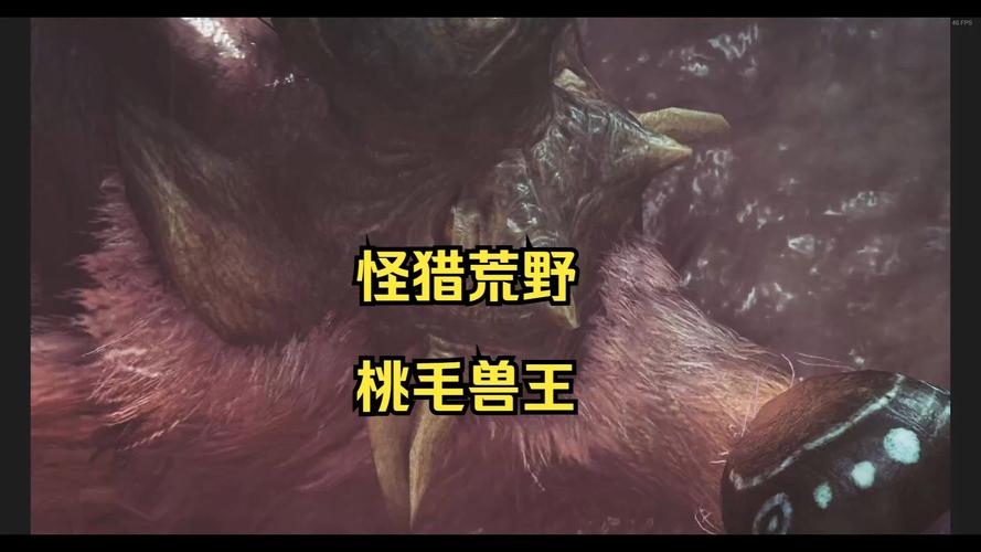 怪物猎人2G手游,村长2星任务挑战桃毛怪兽全攻略