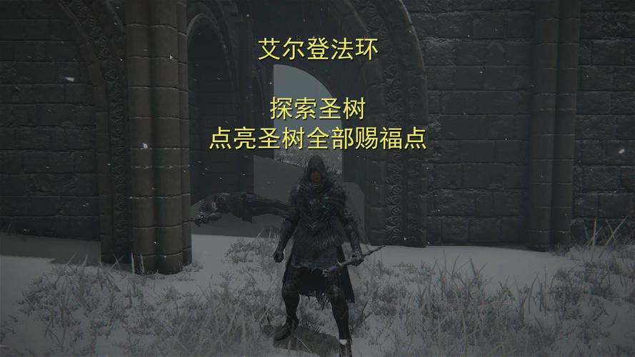 艾尔登法环深度探索,全面揭秘圣树温床诅咒隐藏位置与趣味玩法