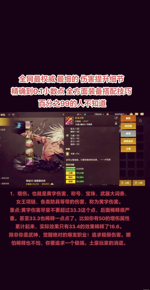DNF手游攻略深度解析,揭开附加伤害的黄字与白字之谜