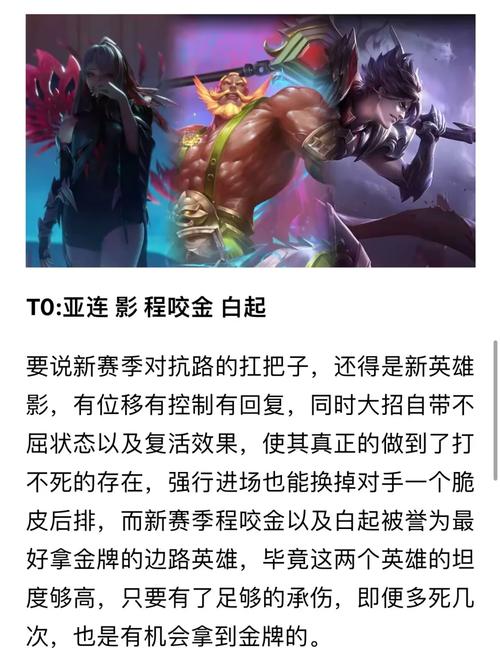 王者荣耀历史巅峰赛最高分揭秘及趣味玩法探索