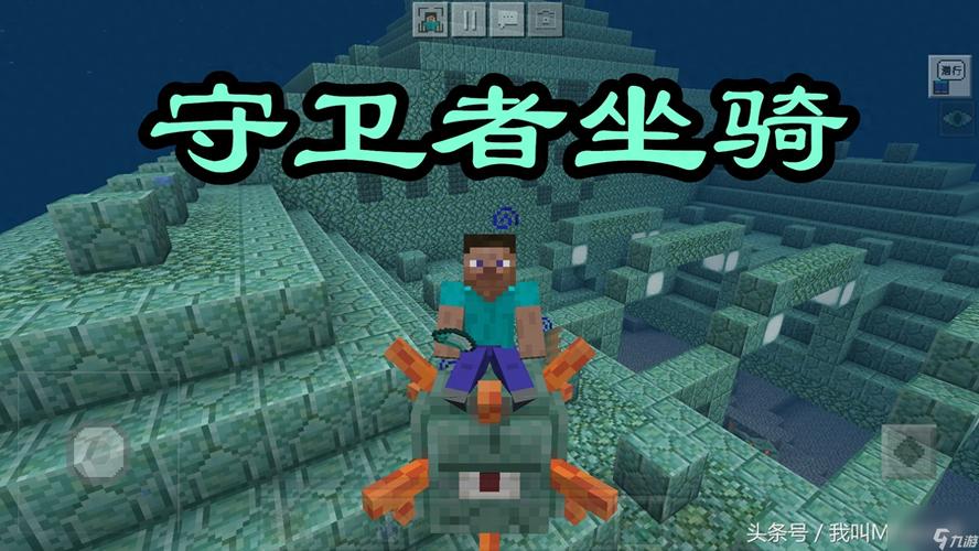 我的世界手游，揭秘驯服海豚坐骑的奇幻之旅