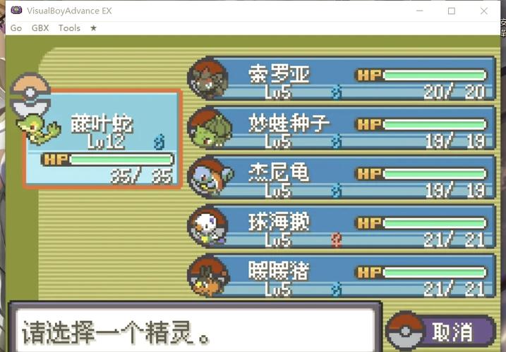 口袋妖怪漆黑的魅影探索三大异世界全攻略,奇幻之旅启程!