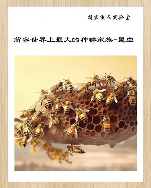 驯虫高手游戏下载,探索昆虫世界的奇妙休闲之旅