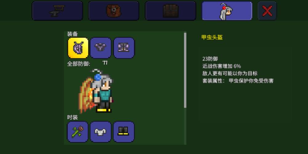 泰拉瑞亚甲虫外壳全面解析,探索与生存的全新维度