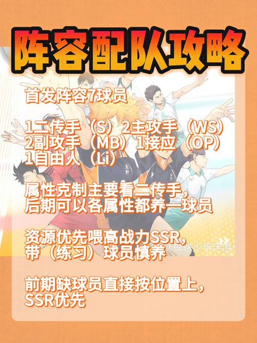 排球少年,新的征程新手池角色选择与神秘商店全攻略