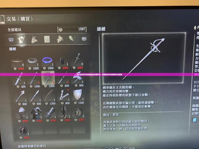 艾尔登法环双匕首加点攻略与趣味玩法揭秘