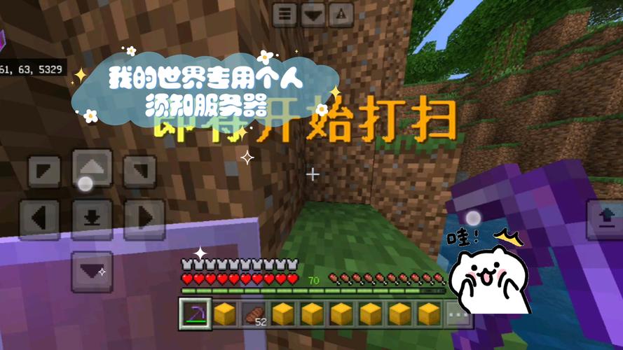 我的世界中国版服务器材质包安装指南及趣味玩法探索
