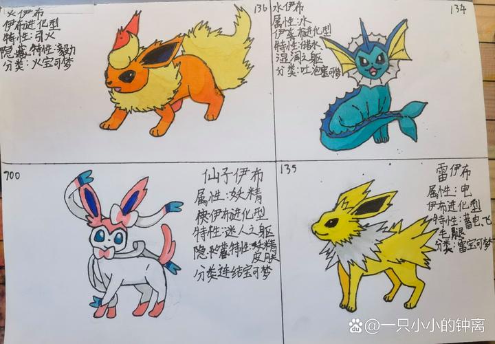 宝可梦大探险,伊布进化全面攻略及游戏深度解析与最新资讯