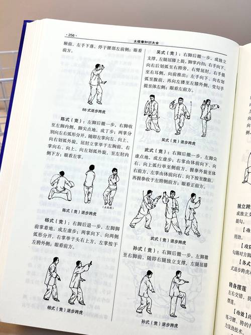 太极熊猫体力恢复全攻略及趣味玩法揭秘