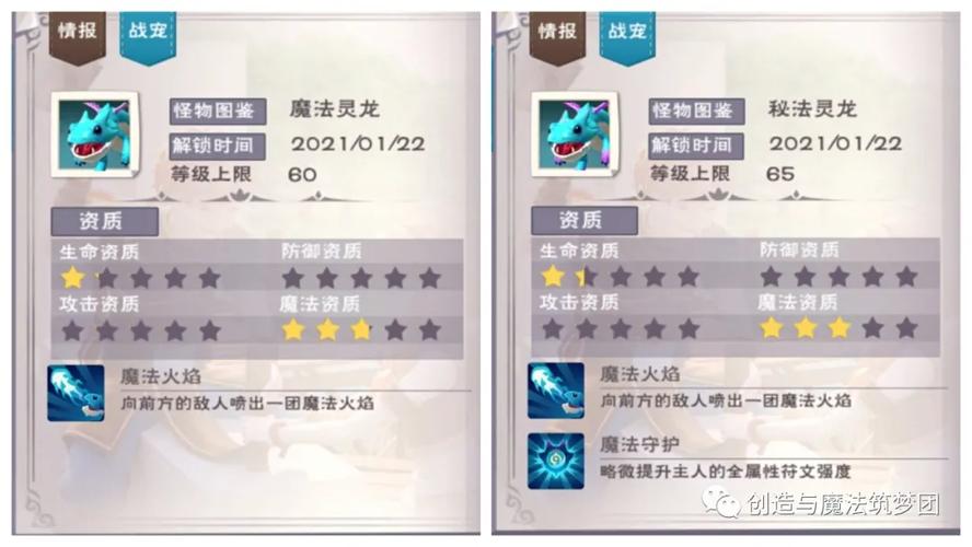 秘法灵龙养成攻略大揭秘,独家创造与魔法灵龙饲料制作秘籍全解析