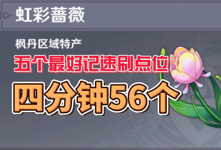 原神献给TA的蔷薇之约,后续任务流程深度解析与趣味玩法攻略指南