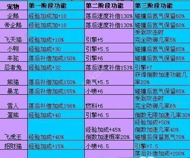 QQ飞车手游全面解析，宠物进化秘籍与趣味玩法指南