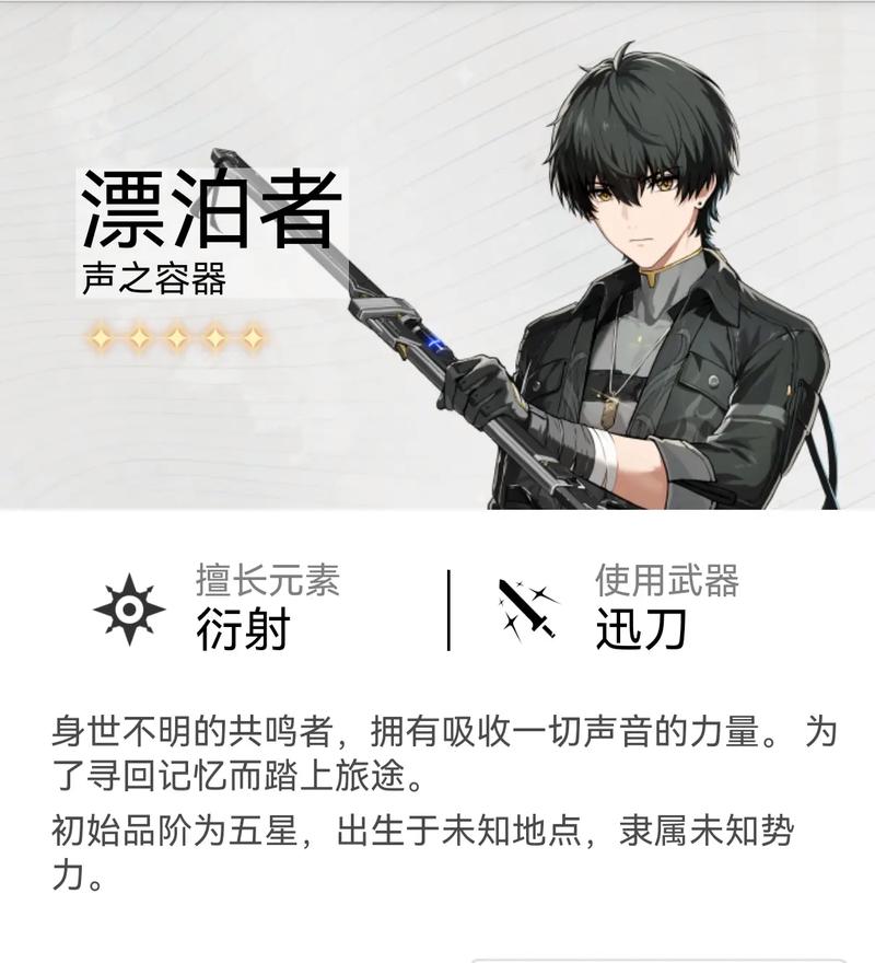 鸣潮衍射,漂泊者深度玩法攻略与竞技细节揭秘,探索无限战斗可能