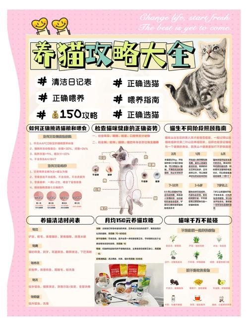 原神猫的报恩成就解锁秘籍，踏上连续喂养猫咪的奇妙之旅