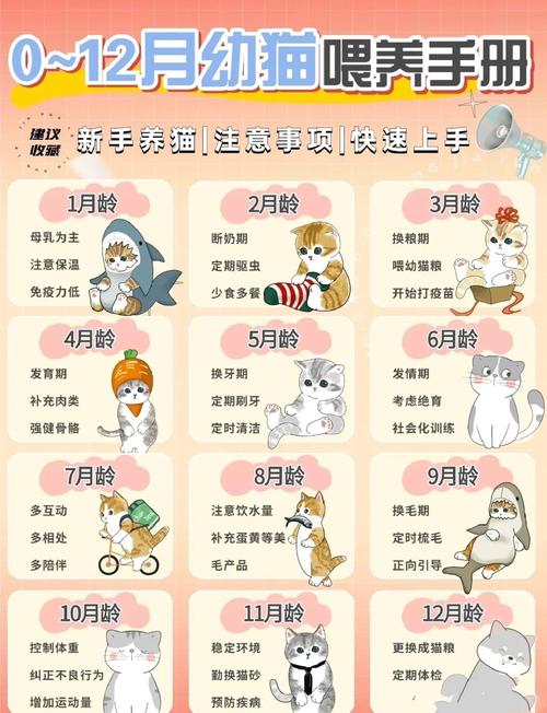 原神猫的报恩成就解锁秘籍，踏上连续喂养猫咪的奇妙之旅