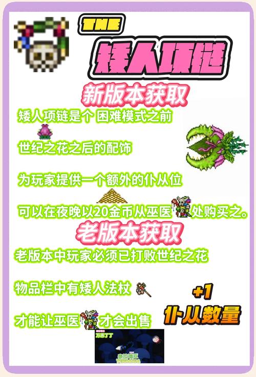 泰拉瑞亚公主入住全攻略,解锁条件与趣味玩法揭秘