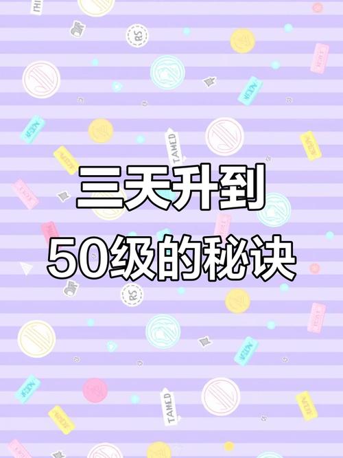 梦幻西游手游新区冲级全攻略,快速升级与趣味玩法揭秘