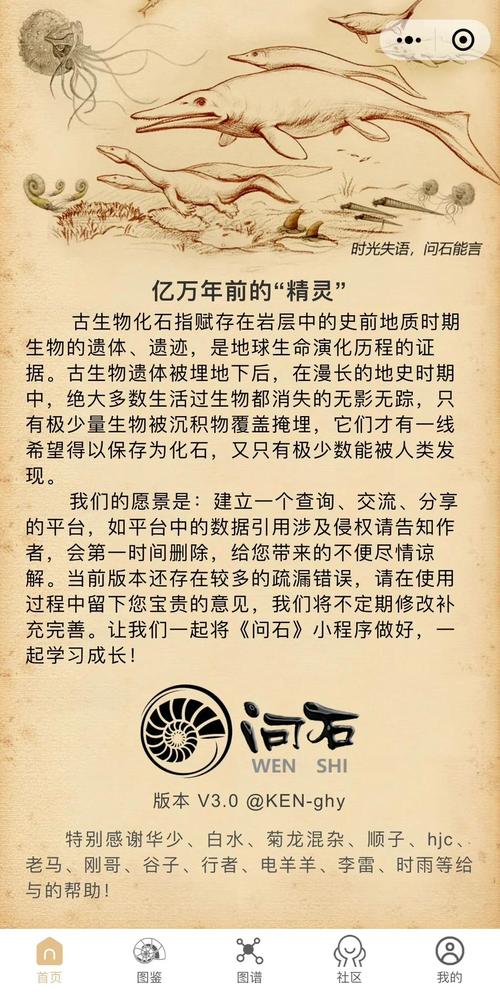 天下灵石初炼揭秘，炼化石效果深度剖析及高效获取策略探索