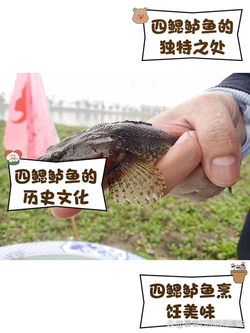 天涯明月刀手游,揭秘四鳃鲈鱼的垂钓秘境与趣味玩法