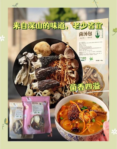 玛娜希斯回响菌菇汤食谱配方揭秘,探索美食与冒险的奇妙融合