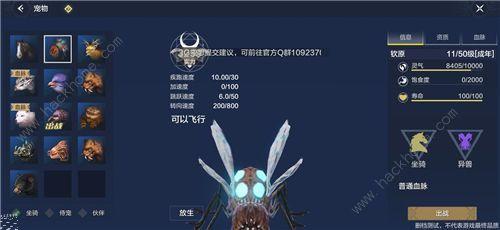 妄想山海手游坐骑飞行攻略及趣味玩法揭秘
