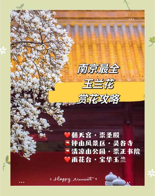 烟雨江湖玉兰花的采集地点指南,探寻最佳玉兰赏花胜地,解锁隐藏剧情与趣味玩法