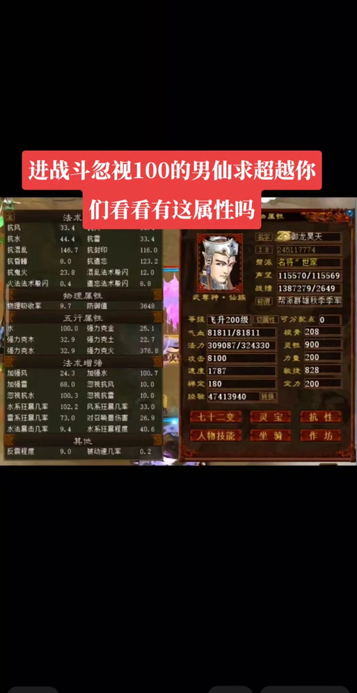 大话西游男仙玩法深度剖析,全面攻略与角色搭配秘籍大公开