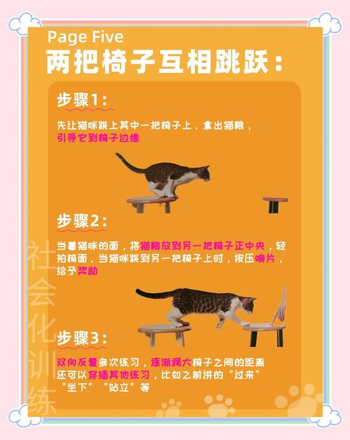 猫咪跳一跳游戏下载,挑战极限的益智休闲新体验