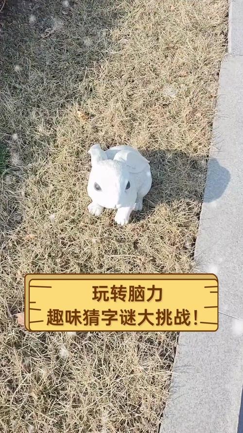 疯狂解谜达人震撼来袭,挑战你的脑力与观察力极限!