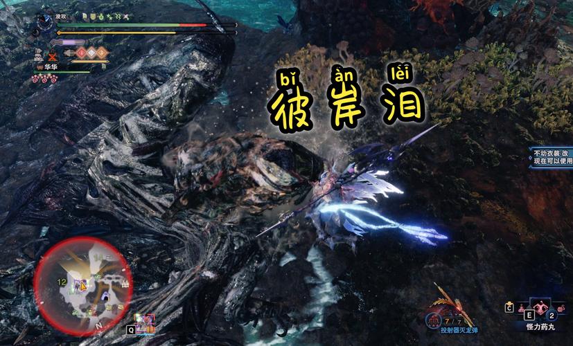 怪物猎人世界手游版,尸套龙弓II图鉴深度解析与趣味玩法揭秘