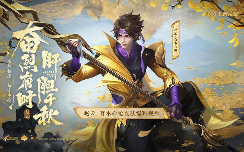 王者荣耀赵云百木心枪语音台词全览，解锁资源管理新策略，实现战场价值最大化