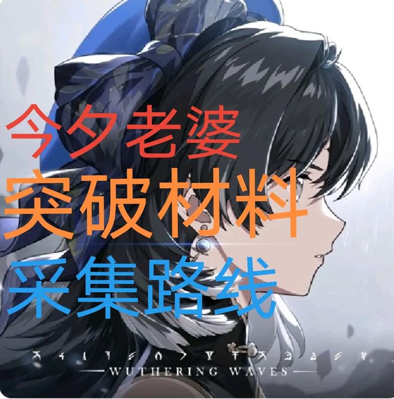 鸣潮1.1版本龙吐珠高效采集路线及趣味玩法揭秘