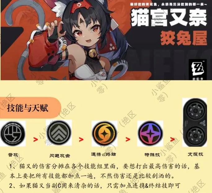绝区零猫宫又奈最佳配队攻略,深度剖析角色搭配与趣味玩法