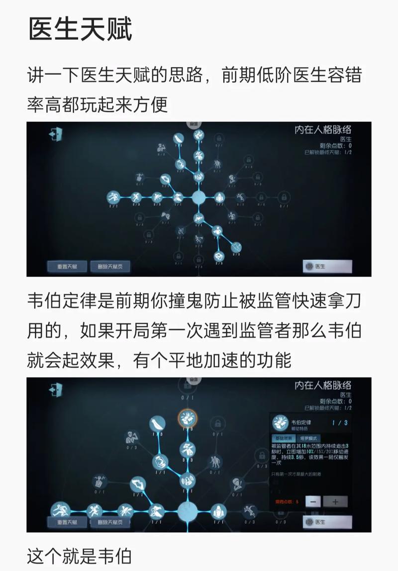 第五人格博士天赋加点图深度解析与攻略,策略布局、技能强化及实战应用全揭秘